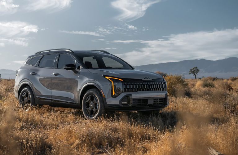 2026 Kia Sportage in a field
